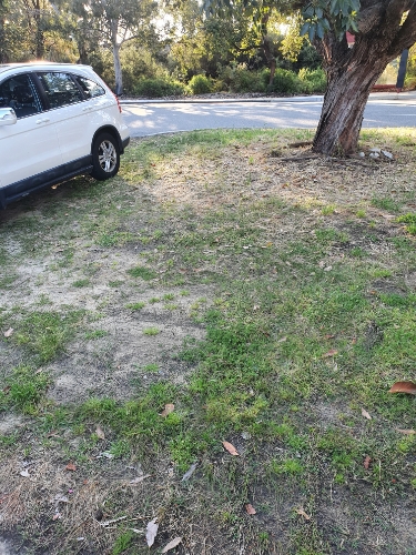 Perfect parking space for the train or bus in Subi