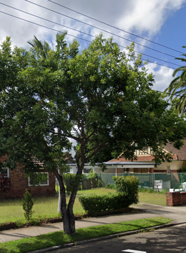 Strathfield - Driveway Parking near Train Station