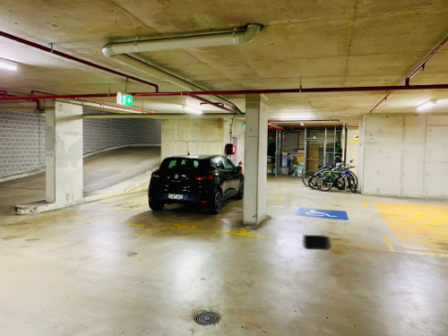 Car Parking Space on Rent in Strathfield