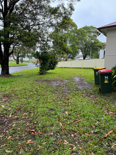 Driveway parking