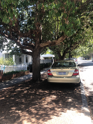 Great shaded car parking space on verge under tree cover