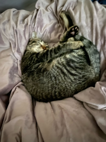 Tina